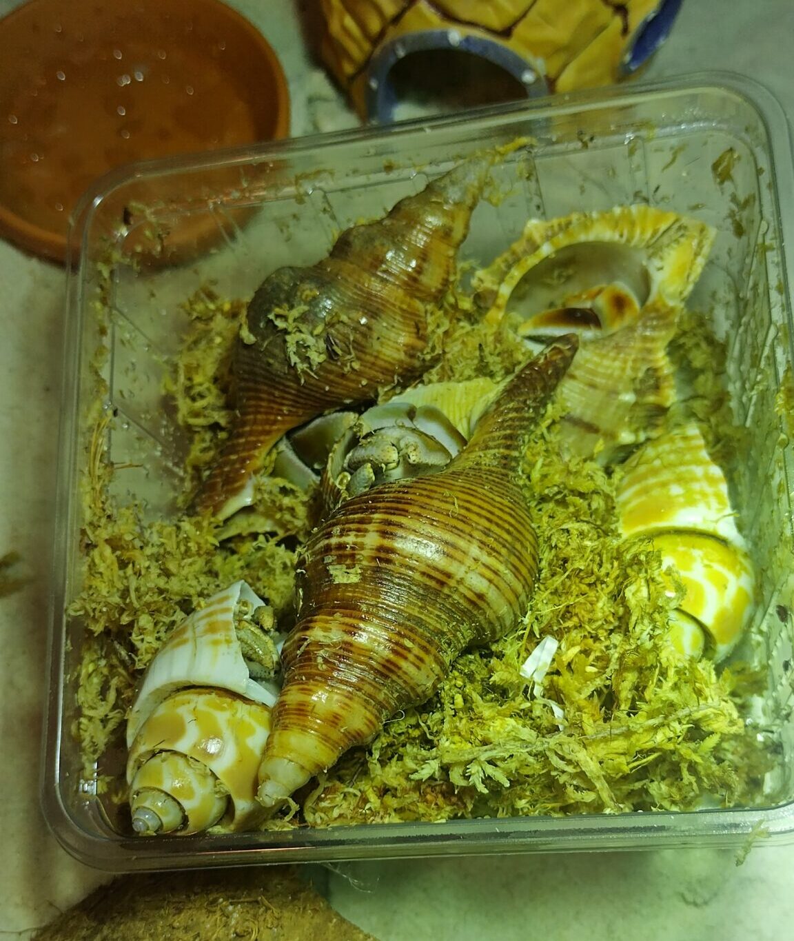 Sie sind angekommen!